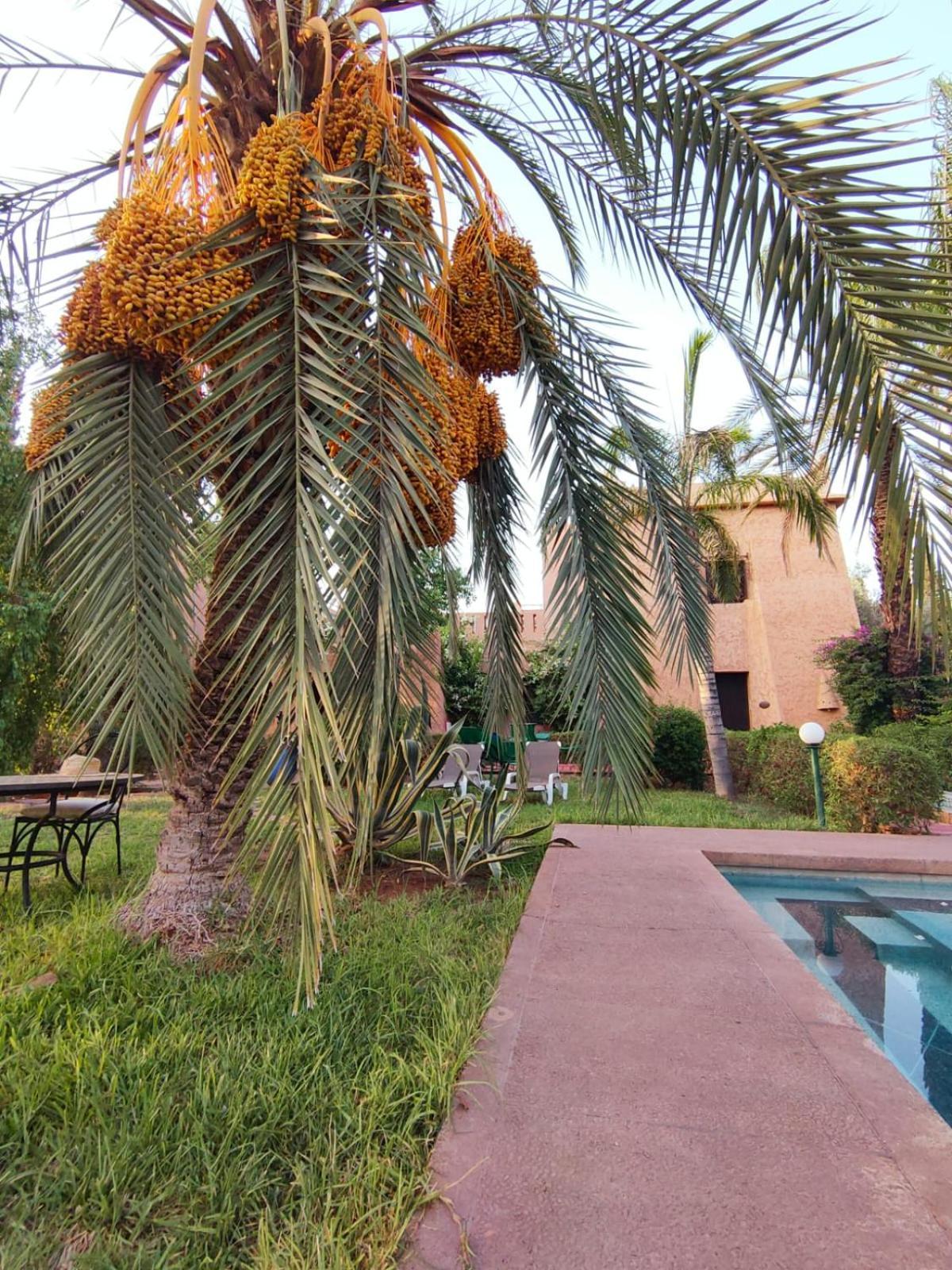 Riad Sheherazade Marrakech Марракеш Екстер'єр фото
