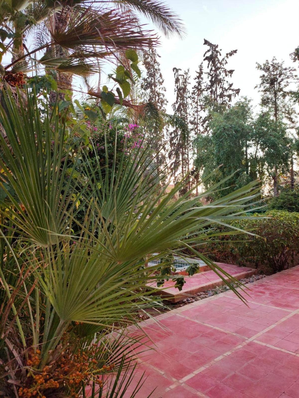 Riad Sheherazade Marrakech Марракеш Екстер'єр фото