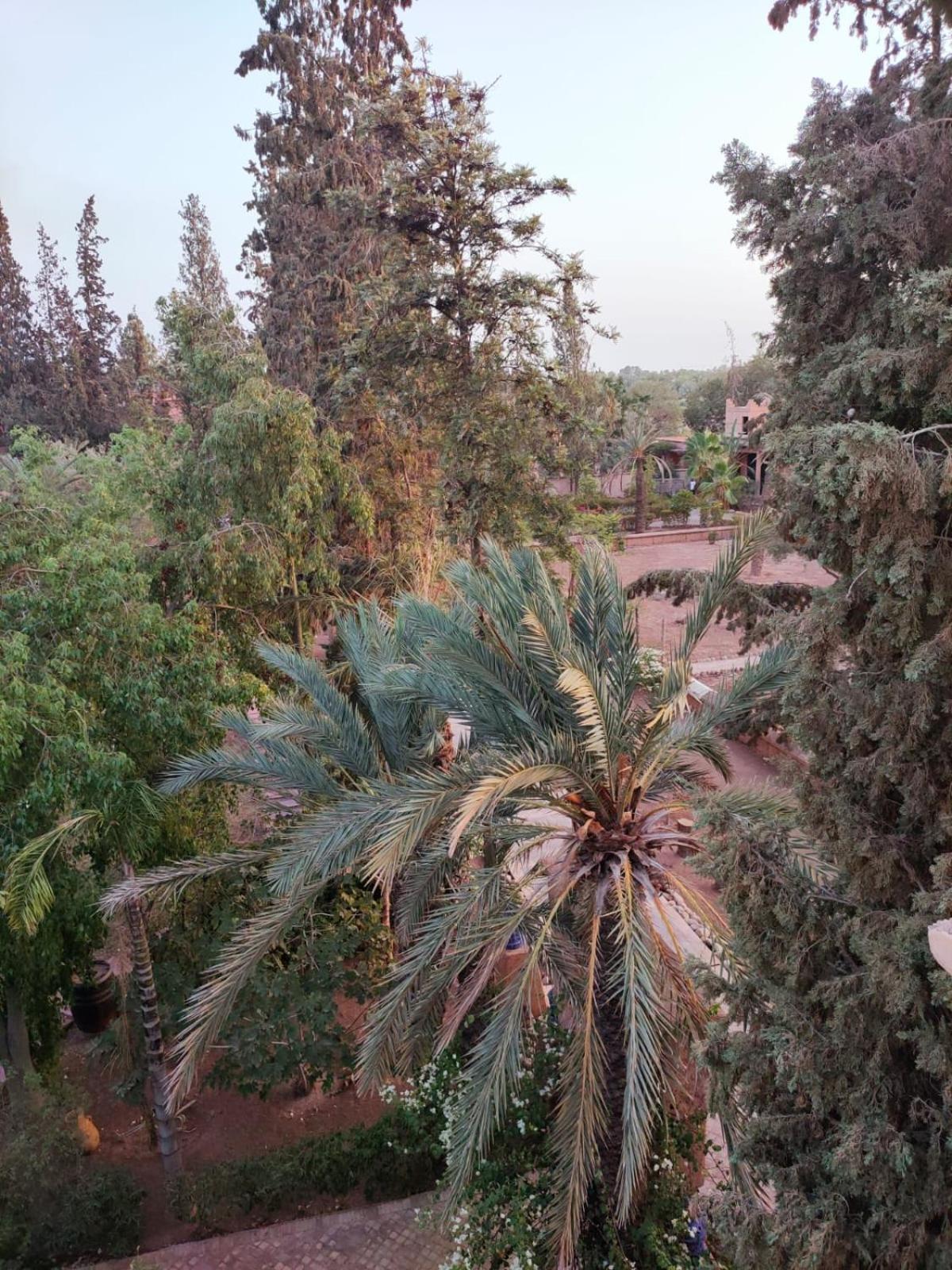 Riad Sheherazade Marrakech Марракеш Екстер'єр фото